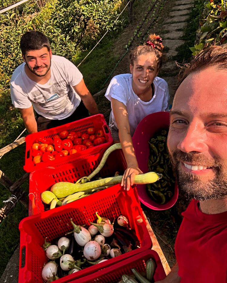 Fescion Farmer al lavoro

