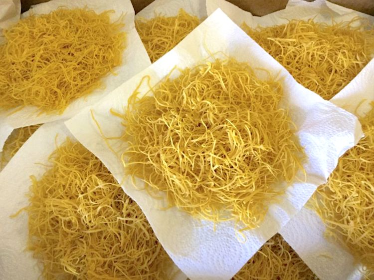 Il Fieno di Canepina, pasta tipica del Viterbese. 