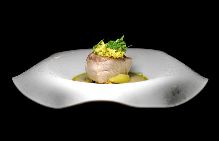Filetto di ricciola, limone salato, fave, cicoria e salmoriglio
