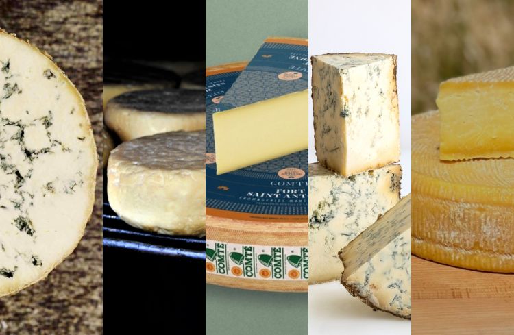 I cinque formaggi imperdibili che sarà possibile 