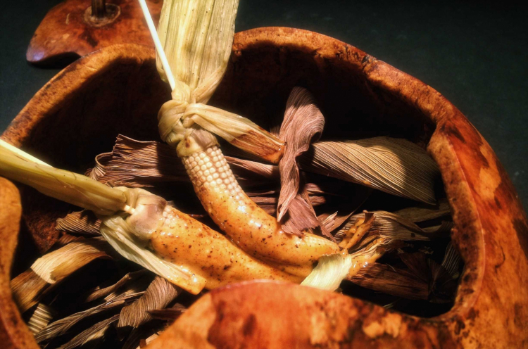 Baby corn with Chicatan ant, coffee and chile costeño mayonnaise, a signature dish by Enrique Olvera (photo chilango)
