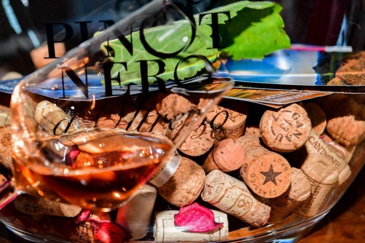 Francesca Seralvo: «Il Pinot Nero sarà un traino»