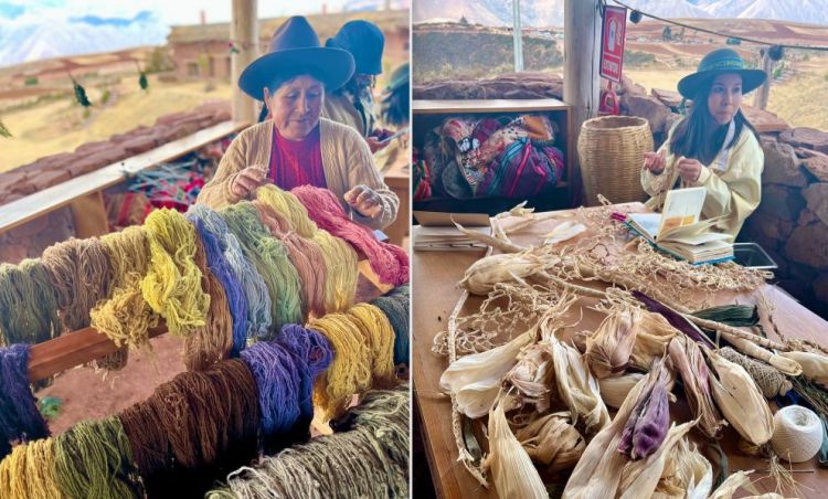 Mater Iniciativa is not just about food. It also supports ancient practices of the Andean community of Kacllaraccay, such as the creation of textiles and the dyeing of sheep and alpaca wool using bothanical and natural plant pigments (left), which are 'simmered' in a pot filled with eucalyptus leaves or kjolle flowers. It is estimated that up to 190 colours can be obtained from 7 plants. The maize plant (right) is instead dried for artistic and ornamental purposes