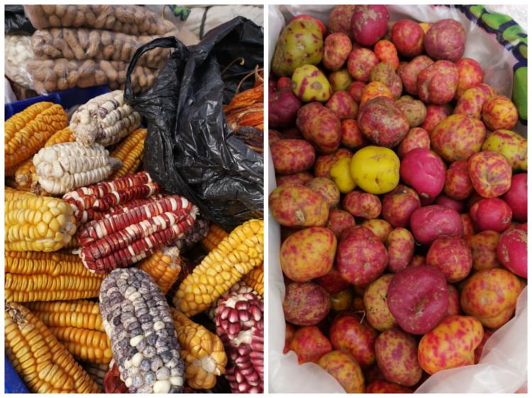 Al mercato di Jujuy: mais e patate

