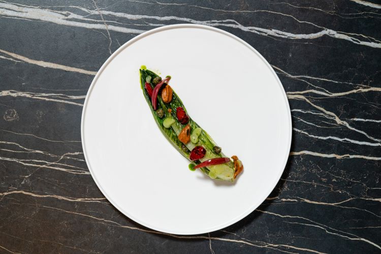 Lattuga come un’insalata mista, 2023