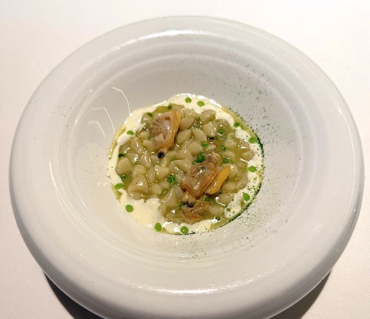 Pasta alle vongole per un lombardo: gnocchetti di pasta, vongole, olio e polvere di prezzemolo, salsa al parmigiano dolce
Una versione ben diversa dal classico alle vongole, perché si tratta di gnocchetti di pasta e non di patate. Ma perchè “per un lombardo”? Questa dicitura si deve al fatto che i lombardi amano rifinire sempre un risotto o una pastasciutta con del parmigiano reggiano. In questo caso, però viene utilizzato in cottura con lo scopo di apportare la giusta sapidità. Il risultato è un piatto gustoso e armonioso, con decise note di mare e vongole (ne avevamo parlato nel nostro articolo l’estate scorsa con la ricetta commentata dallo stesso chef)