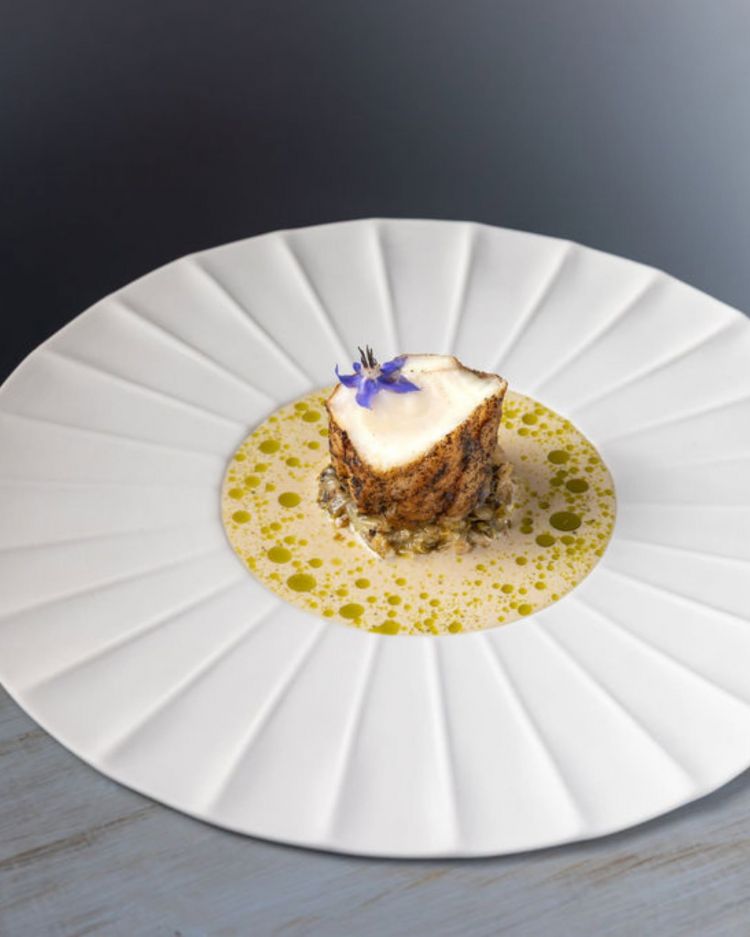 Rana pescatrice, acciughe, scarola
