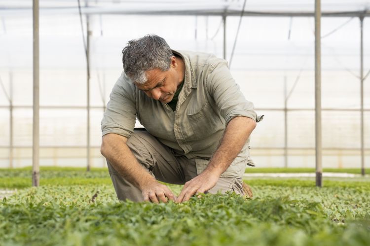 Angelo Giordano, agronomo e seedkeeper di Borgo Eg