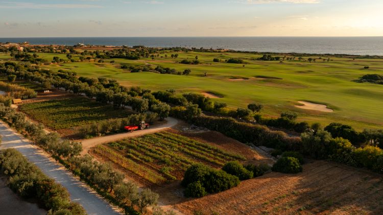 Alcuni degli orti rigenerativi parte della proprietà di Borgo Egnazia