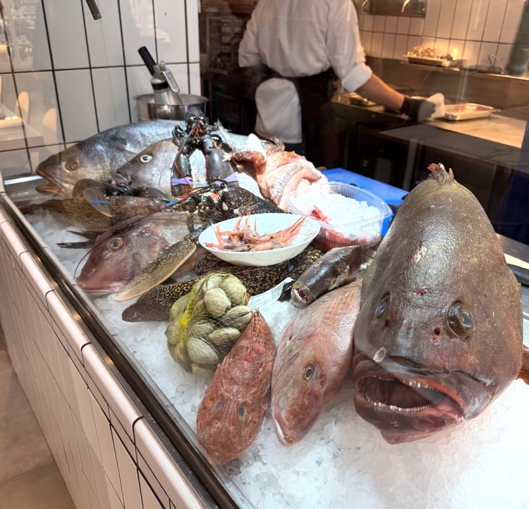 Il maestoso banco del pesce di Cañabota