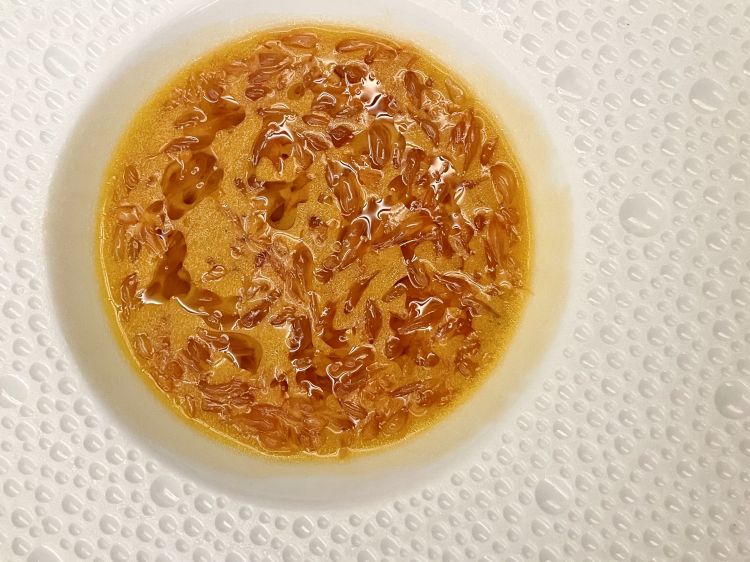 Zuppa di pompelmo e olio al fagiano arrosto
Pomplemo in olio di germano e fagiano servito in succo di pompelmo emulsionato con lo stesso olio.
La percezione è quella di una pastina, ma di agrumi; l'amaro del pompelmo, con la sua polpa viva, carnosa, cattura immediatamente il palato, ma è bilanciato dalla sostanza dell'olio e dal suo corpo