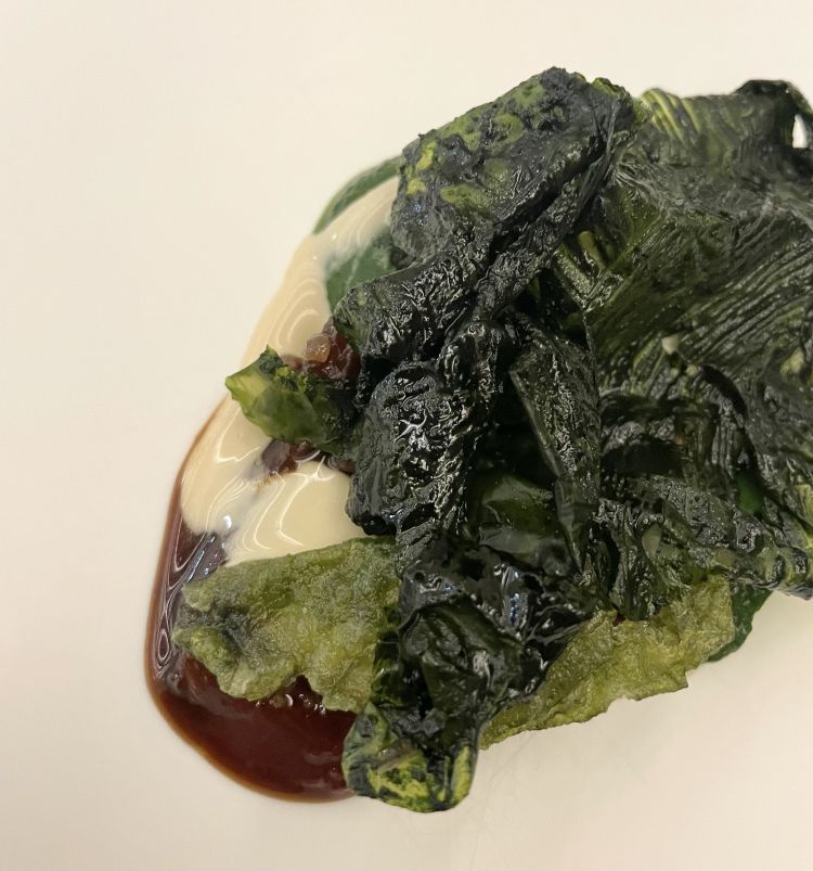 Capriolo, spinaci e lattuga di mare
Capriolo crudo con crema di spinaci, uvetta e pinoli marinati, con lattuga di mare fritta e glassata con olio agli spinaci. Il capriolo crudo è fondente; ti aspetteresti un morso tenace e invece si scioglie sul palato, che viene addolcito dalla presenza dell'uvetta con i pinoli. Rimandano alla tradizione campana, mentre la classica scarola viene sostituita dalla lattuga di mare fritta e dallo spinacio, ferroso