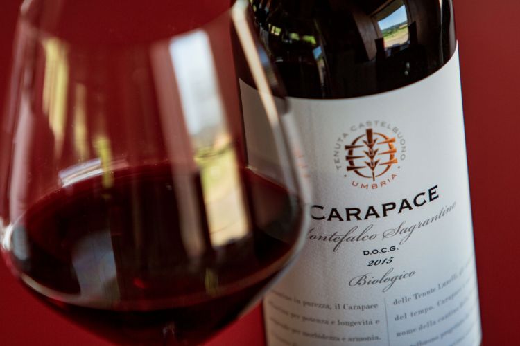 Tenute Lunelli, Carapace, Montefalco Sagrantino D.O.C.G.