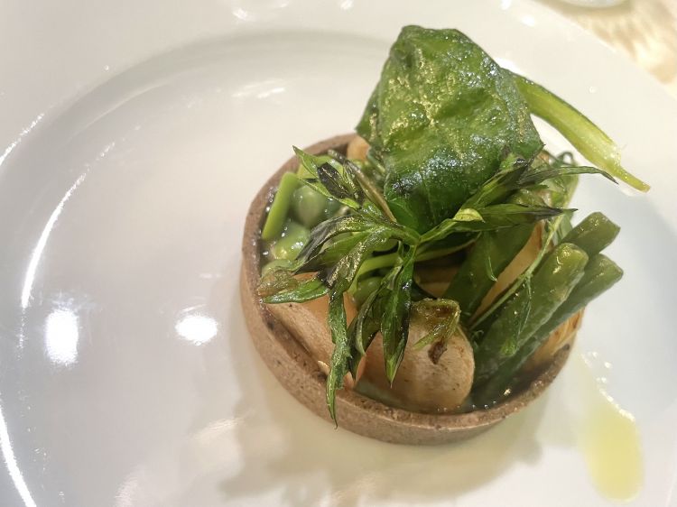 Tartelletta salata con vignarola ed erbe spontanee
