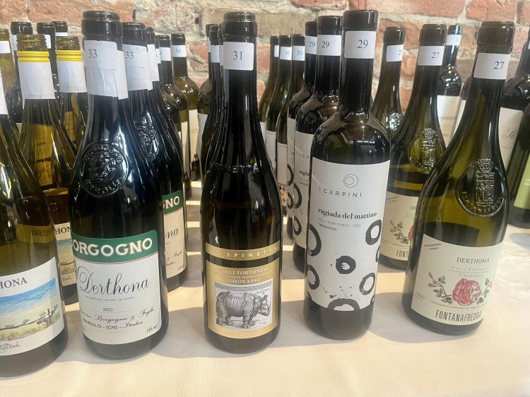 Alcuni dei vini che abbiamo assaggiato nel corso della degustazione alla cieca