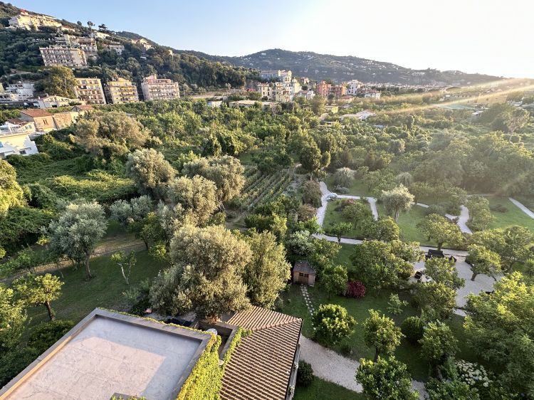 Il verde rigoglioso che circonda la proprietà
