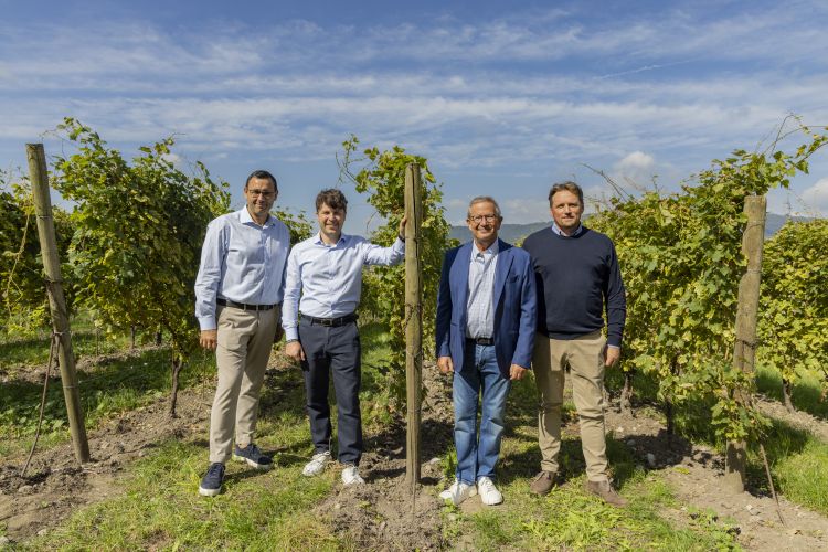 Da sinistra, Ferdinando Dell'Aquila, enologo di Berlucchi, Francesco Ziliani e suo padre Arturo, proprietario assieme ai fratelli Cristina e Paolo Ziliani, e Diego Cortinvis, agronomo