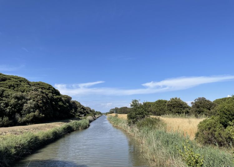 Incursione nell'oasi WWF di Macchiagrande, a Fiumicino; assieme alla Foce dell'Arrone e alle Vasche di Maccarese fa parte della Riserva del Litorale Romano