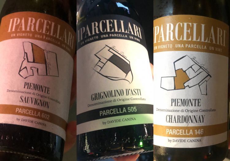 I vini IParcellari degustati nel corso della serata:

Sauvignon “Parcella 602” 2021 - I Parcellari
Grignolino d’Asti “Parcella 505” 2021 - I Parcellari
Chardonnay “Parcella 146” 2020 - I Parcellari

 
