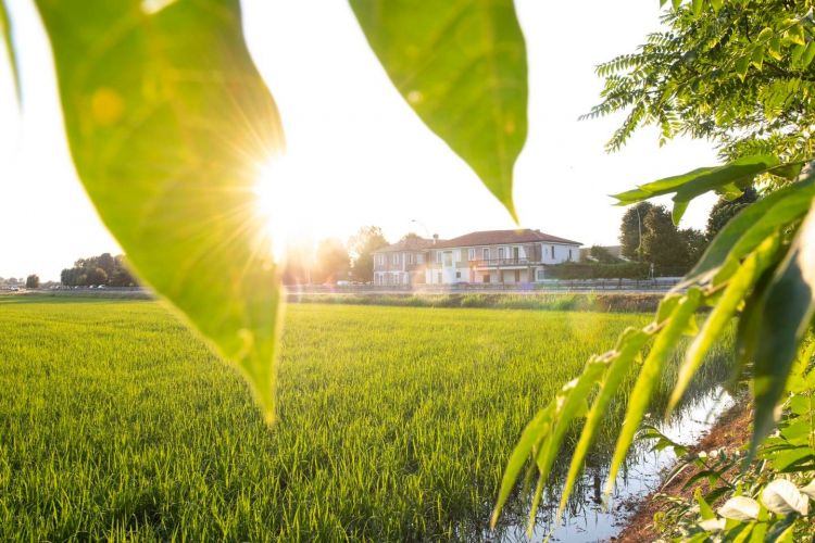 In una vecchia cascina del '500 vive oggi la n