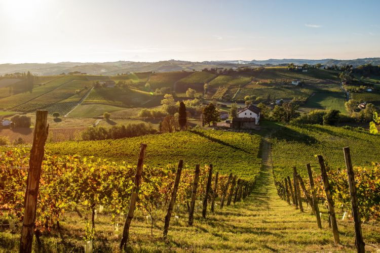 Tenuta La Guaragna