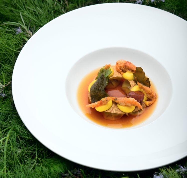 Tortelli di moeche, consommé di schie e alga

I piccoli pescetti veneziani diventano la base di un brodo - oltre che aggiungere consistenza al piatto nella classica versione fritta - per i tortelli ripieni di moeche, condite dal tocco speziato del pepe di Timut
