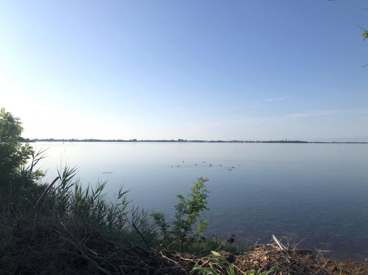 La vista sulla laguna attorno all'Isola delle Rose
