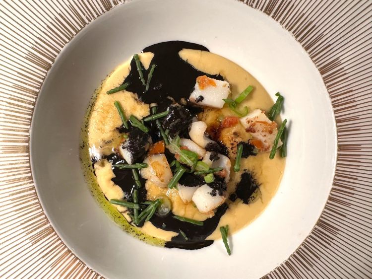 Crème brûlée salata di fagiolini di Terraseo con seppie e calamari scottati, cipollotto, salsa al gin e salicornia
Sulla base, una vellutata e ruvida di fagioli; è dolce come dolce è anche il cipollotto (del quale avremo memoria nel dessert) e lo strato in cima, un cristallo sottile zuccherino; la crema viene vivacizzata dalla sapidità della salicornia e di seppie e calamari scottati; striature di nero e un sottile amaro, mentre la salsa al gin apporta verticalità al piatto. Profondo, viene abbinato a Rosa Grande, Isola dei Nuraghi IGT 2022 - un rosato che nasce da un blend di Syrah e Vermentino, la cui salinità spiccata prende corposità grazie all'apporto del Syrah