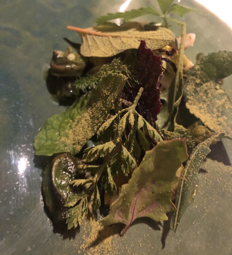 Trippe di rana pescatrice e lumache di vigna in insalata
