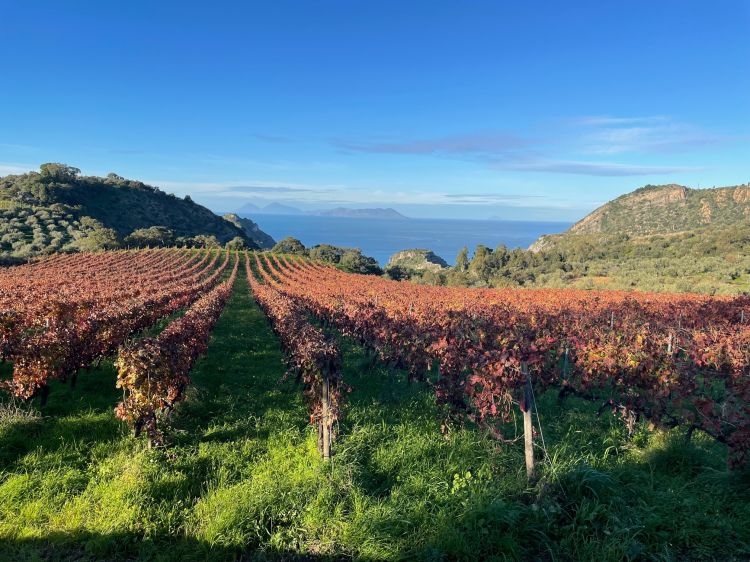 Le isole Eolie viste da Gaglio Vignaioli
