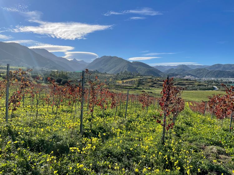 Oltre i Nebrodi, l'Etna e tutta la bellezza de