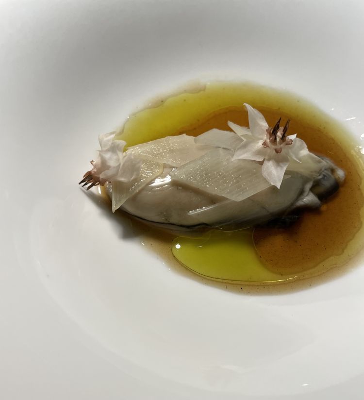 Ostrica del delta del Po, dolce e carnosa, servita con un fondo di porro e asparago bianco alla brace
