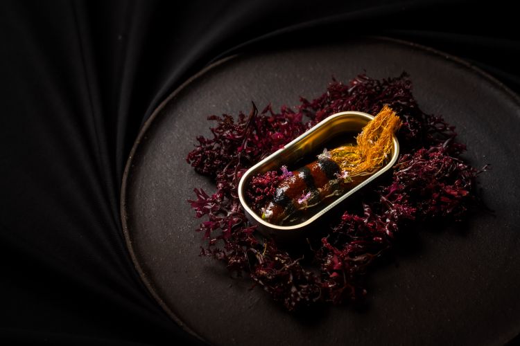 Echoes of memory: squid
