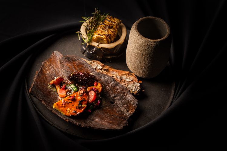 Ode to the Dolomites. Chicken of the woods
