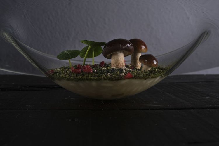 Risotto Sottobosco: il risotto &egrave; preparato con un brodo di funghi e licheni, poi mantecato con burro acido e crema di topinambur. Cavoli e ribes ghiacciato completano questo primo piatto che racchiude tutti i sapori e i profumi del bosco
