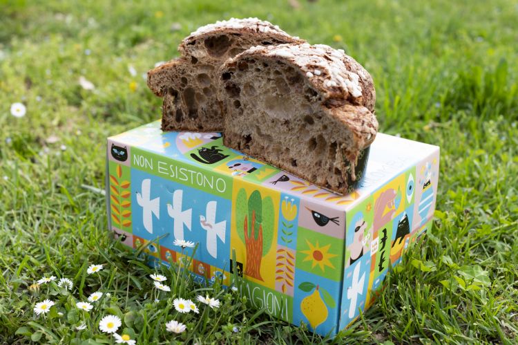 La Colomba ai 4 cioccolati di Mamm a Udine e presto anche a Bologna