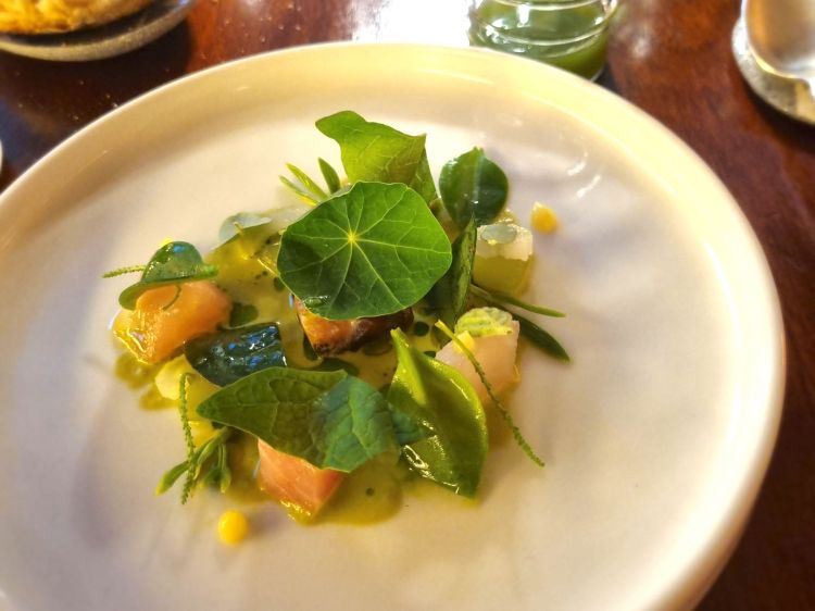 Giardino di mare (crudo di pesce, ventresca scottata, crema di lattuga)