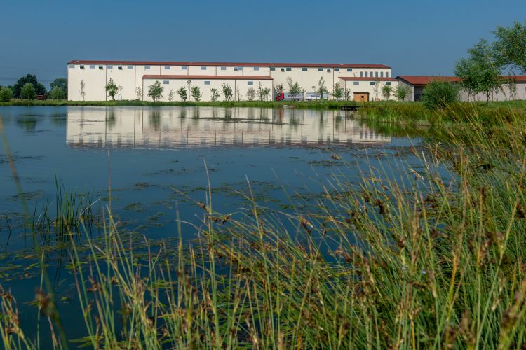 Il riso biologico Riso Vignola 1880 proviene dalle risaie dell'azienda agricola Cerealicola San Giacomo coltivate secondo l'innovativo metodo della pacciamatura nel comune di Livorno Ferraris, in provincia di Vercelli, Italia. Un processo di coltivazione unico al mondo messo a punto dalla Riseria Vignola in collaborazione con alcuni agricoltori selezionati per qualità dei terreni e rigore nel seguire il rigido disciplinare. al fine di ottenere un riso unico, assolutamente biologico e rispettoso dell'ambiente in cui viene coltivato
