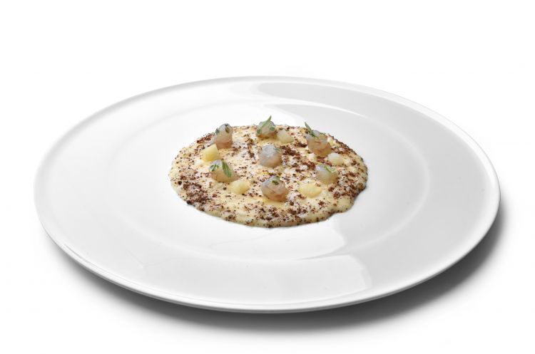 Risotto carnaroli, ginepro affumicato, limone e ga