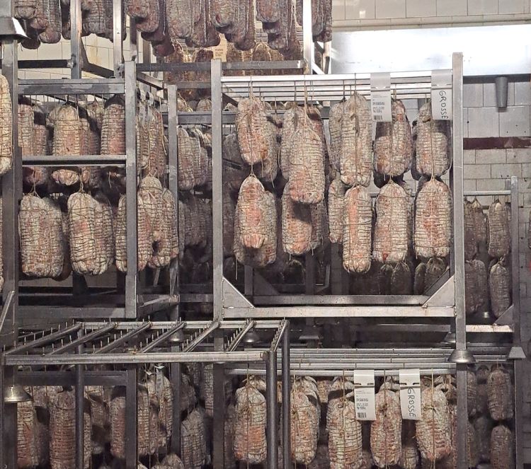 Nella cella di stagionatura delle coppe si avverte un forte odore di ammoniaca, garanzia di una lunga stagionatura e quindi di qualità