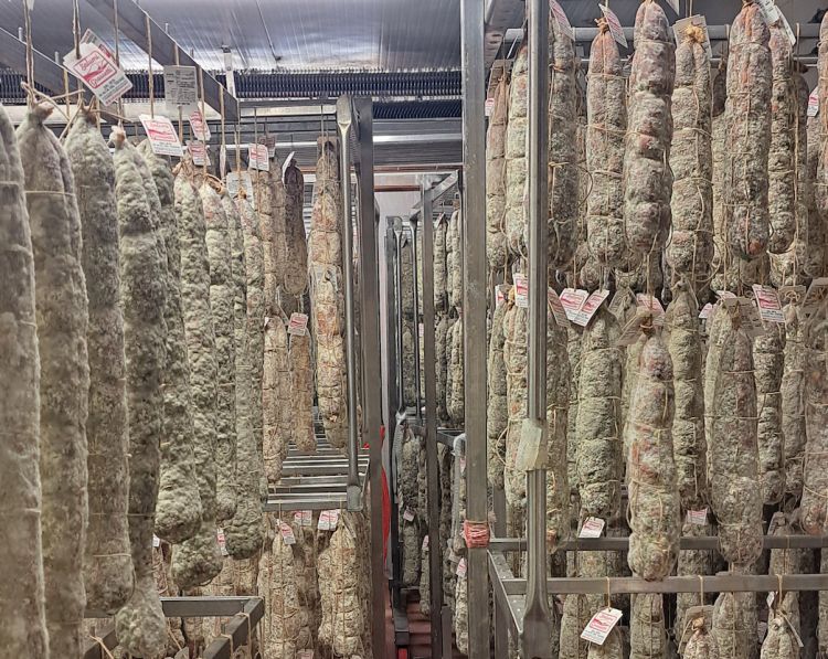 La cella di stagionatura dei salami: il salame piacentino stagiona 3 mesi, il gentile più a lungo avendo dimensioni maggiori