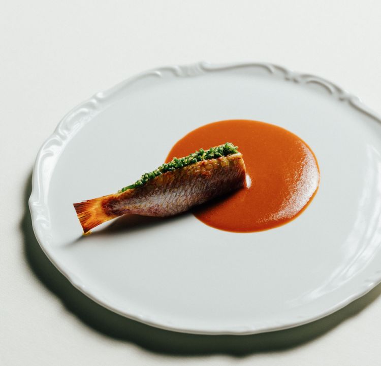 Triglia, profumi mediterranei, cacciucco: un sandwich di triglia farcito con una pasta di pomodoro fatta in casa a base di pomodori secchi, acciughe, capperi, origano e pinoli, salicornia e poi salsa cacciucco 
