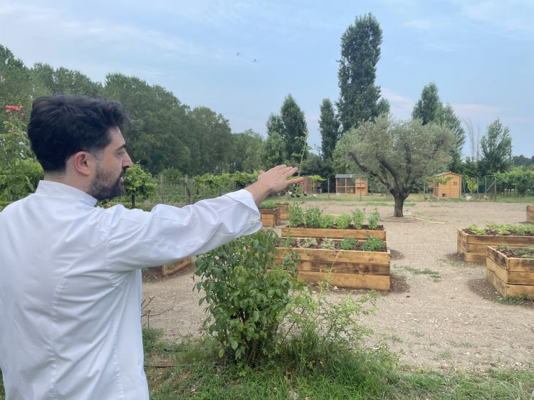 L'orto del ristorante Famiglia Rana