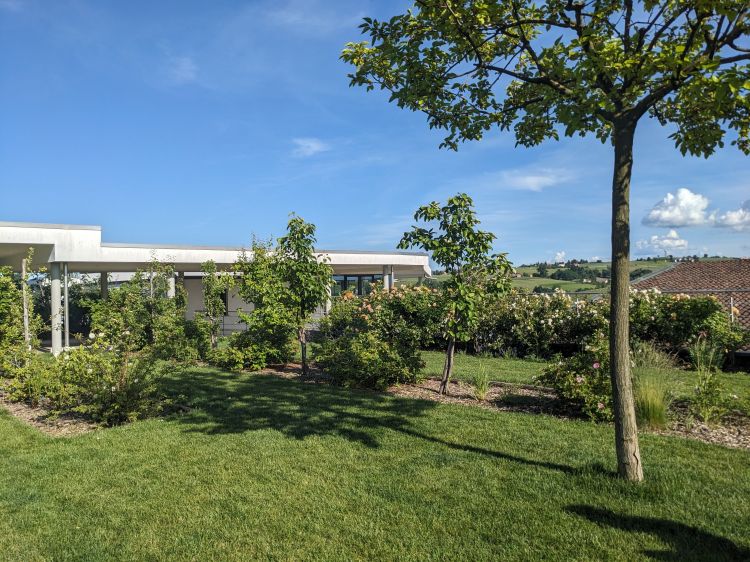 Un'immersione nel verde: l'azienda G.D. Vajra a Barolo