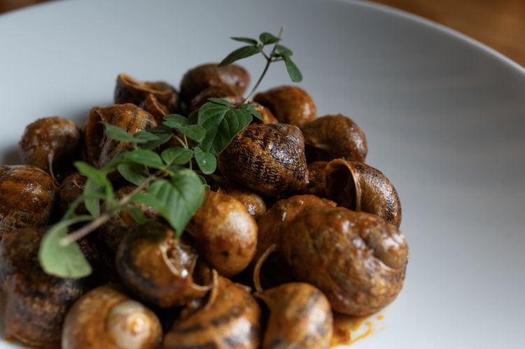 Tra le specialità proposte in carta, le Lumache in umido cotte secondo la tradizione con pomodoro, mentuccia e olio extra vergine di oliva