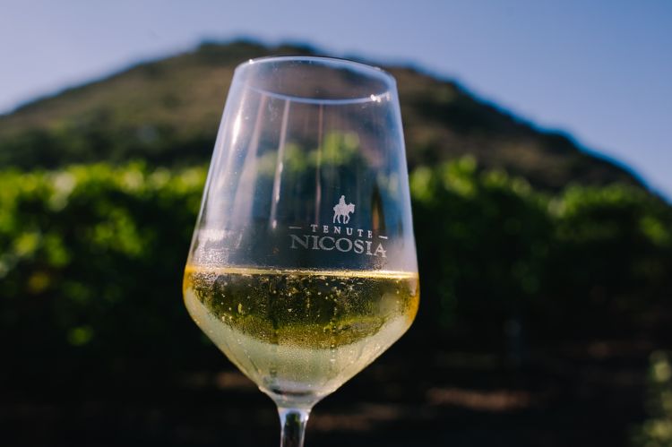 Un Metodo Classico di Tenute Nicosia e, sullo sfondo, il Monte Gorna