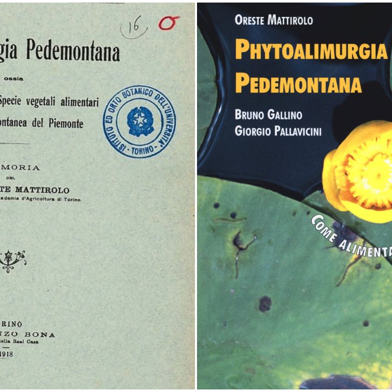 Phytoalimurgia pedemontana in edizione storica e attuale
