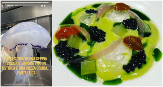 Il lavoro di Sodano sulle meduse e il piatto ottenuto: Escabeche di medusa con cipolla e cetriolo fermentato, wasabi, riccio e caviale di aringa arrosto
