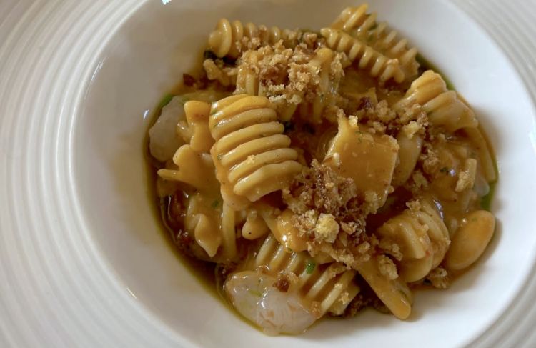 Pasta mista maritata con fagioli, scampo crudo e polpa di ricci&nbsp;
