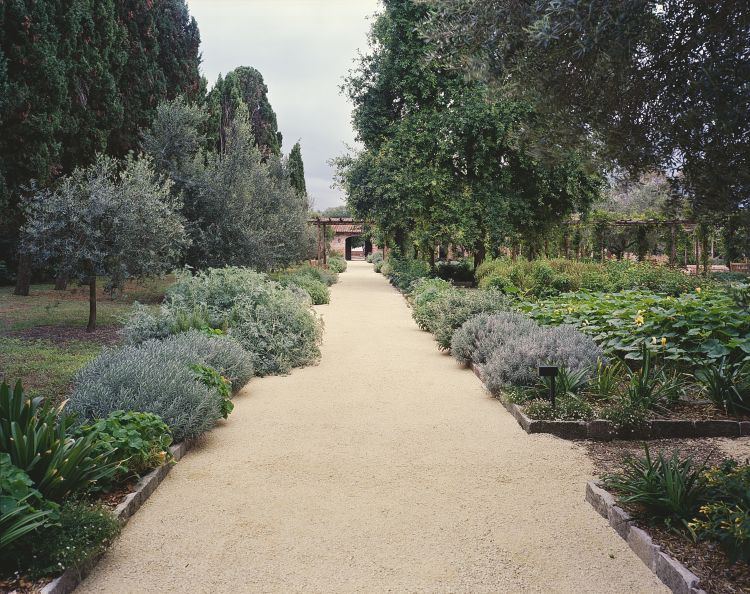 Promosso da Venice Gardens Foundation e sostenuto da The Gritti Palace, il progetto In Venetia Hortus Redemptoris ha permesso il restauro dell’Orto Giardino di circa un ettaro, delle Antiche Officine e della Serra annessi alla Chiesa del Santissimo Redentore
